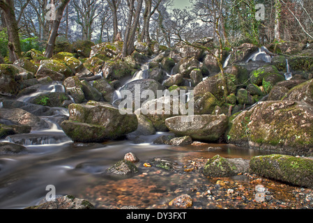 Becky Falls Woodland Park e il sentiero natura, ( Becka scende), Manaton, Newton Abbott, Parco Nazionale di Dartmoor, Devon, Inghilterra, Regno Unito Foto Stock