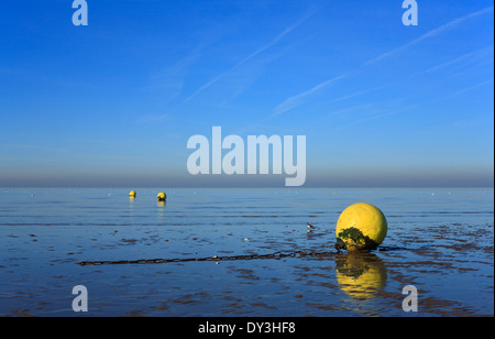 Boe di colore giallo sulla spiaggia Heacham con la bassa marea. Foto Stock