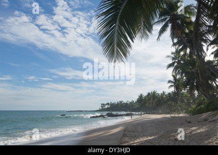 Tangalla, Sri Lanka. Palm Paradise Beach Foto Stock