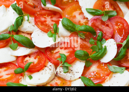 Insalata caprese con pomodoro, mozzarella e basilico Foto Stock