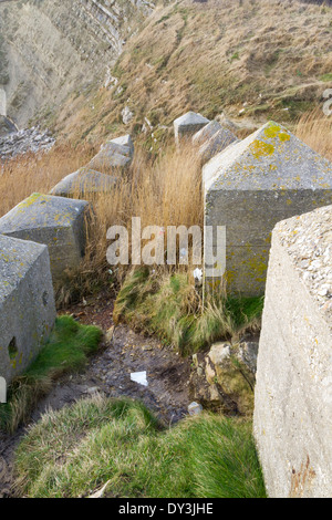 Calcestruzzo serbatoio anti blocchi, posizionati ad ostacolare l'invasione, Pondfield Cove, Worbarrow bay , Dorset, Inghilterra, Regno Unito. Foto Stock