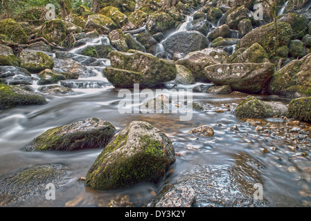 Becky Falls Woodland Park e il sentiero natura, ( Becka scende), Manaton, Newton Abbott, Parco Nazionale di Dartmoor, Devon, Inghilterra, Regno Unito Foto Stock