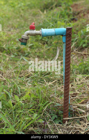 Rubinetto di acqua con lo sfondo di erba Foto Stock