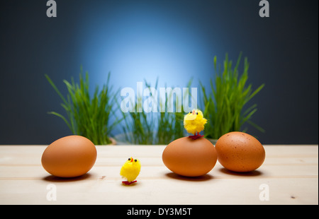 La pasqua ancora in vita con uova, polli, erba in un cestello. Sfondo colorato. Uovo di pollo. animali aprile arte sfondi baby ba Foto Stock