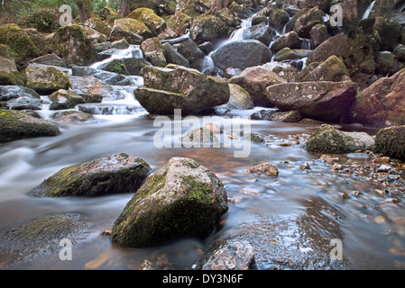 Becky Falls Woodland Park e il sentiero natura, ( Becka scende), Manaton, Newton Abbott, Parco Nazionale di Dartmoor, Devon, Inghilterra, Regno Unito Foto Stock