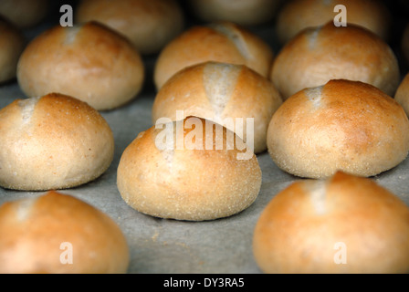 Freschi di forno focaccine sono allineati su un ripiano da forno Foto Stock