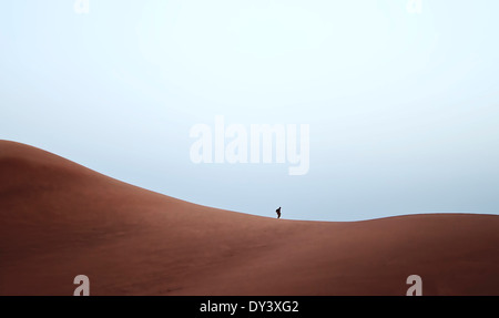 Bellissime dune di sabbia nel deserto di Dubai Foto Stock