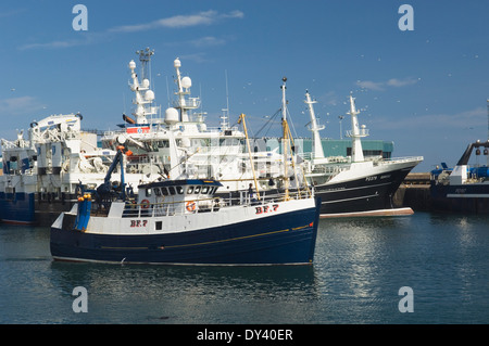 Peterhead Harbour, Aberdeenshire, Scozia. Foto Stock