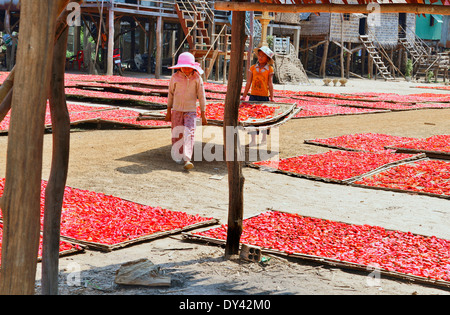 Peperoncini cucinati e salati preparati su vassoi di bambù che vengono portati fuori per asciugare al sole dai bambini dalle case di palafitte, Cambogia, Asia sudorientale Foto Stock