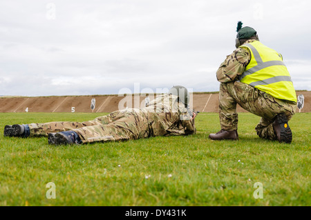 Un esercito britannico soldato giace prono su un poligono di tiro con un SA80 L85A2 fucile da assalto Foto Stock