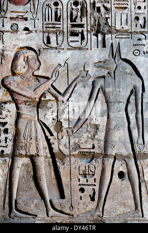 Tempio di Ramses III a Medinet Habu: rilievi sulla parete del primo cortile.re offerta a dio Anubis Foto Stock