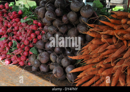 Ortaggi freschi al mercato degli agricoltori Foto Stock