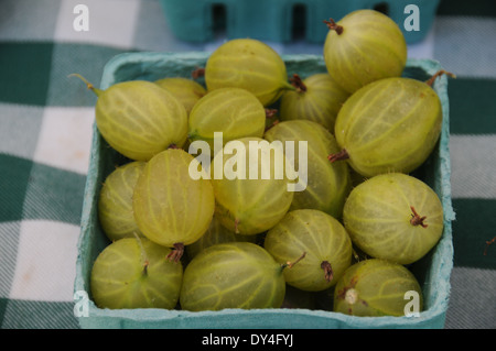 Uva spina in vendita su un mercato degli agricoltori Foto Stock