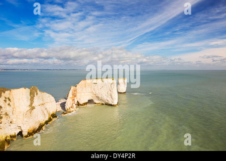 Le scogliere e rock pile di vecchi Harry rocce di Jurassic Coast di Dorset, Inghilterra Foto Stock