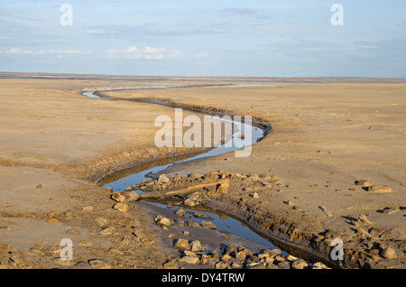 Brook in una terra deserta vicino al lago salato Baskunchak Foto Stock