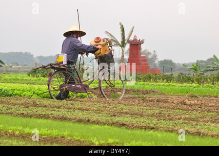 Giardiniere vietnamita che cammina la sua bicicletta su un sentiero sopra il tipo di assegnazione giardini accanto alla strada principale da Halong Bay ad Hanoi, Vietnam del Nord Foto Stock