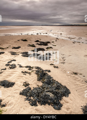 A Isola Santa Sands sull Isola Santa Lindisfarne, Inghilterra Foto Stock