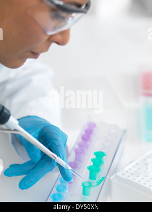 Donna scienziato il pipettaggio di campioni di DNA per analisi Foto Stock