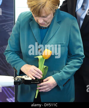 Hannover, Germania. 7 apr, 2014. Il cancelliere tedesco Angela Merkel riceve un fiore da un robot in Olanda di stand del 2014 Hannover fiera commerciale di Hannover, Germania, il 7 aprile 2014. New Holland è il paese partner della Hannover fiera commerciale 2014, che va dal 7 Aprile al 11. Credito: Zhang ventola/Xinhua/Alamy Live News Foto Stock