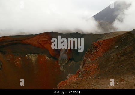 Vista dal bordo del 'ROSSO' del cratere del Tongariro Alpine Crossing, Nuova Zelanda. Foto Stock