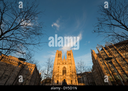 BRUXELLES, Belgio: La cattedrale di San Michele e San Gudula, un capolavoro dell'architettura gotica brabantina, si erge in cima alla collina di Treurenberg. Costruita tra il XIII e il XV secolo, questa cattedrale cattolica presenta due torri gotiche gemelle, notevoli vetrate colorate e una cripta romanica. La cattedrale, dedicata ai santi patroni di Bruxelles, rappresenta uno dei monumenti religiosi più significativi del Belgio. Foto Stock