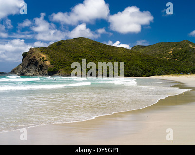 Scena da Tapotupotu Bay, Northland e North Island, Nuova Zelanda su un caldo e ventoso giorno d'estate. Foto Stock