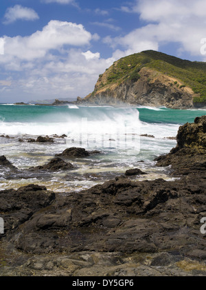 Scena da Tapotupotu Bay, Northland e North Island, Nuova Zelanda su un caldo e ventoso giorno d'estate. Foto Stock