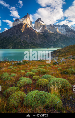 Los Cuernos che sovrasta il Lago Nordenskjold a Torres del Paine, cileno parte della Patagonia Foto Stock