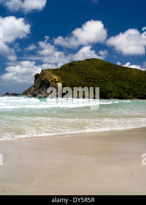 Scena da Tapotupotu Bay, Northland e North Island, Nuova Zelanda su un caldo e ventoso giorno d'estate. Foto Stock