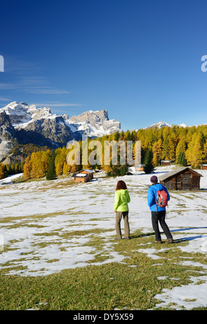 Due escursionisti a piedi attraverso un prato con alberi di larice in autunno colori, vista la gamma Puez Geisler e gamma, Val Badia, FARE Foto Stock
