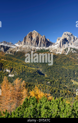 Tofana di Rozes e la Tofana di Mezzo sopra i larici in autunno colori, Cortina d'Ampezzo, Dolomiti, patrimonio mondiale dell UNESCO Foto Stock