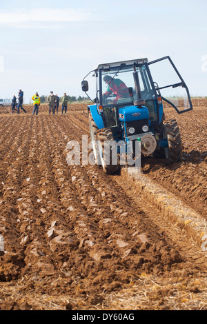 Memorial Match di aratura, 2014, Shorwell, Isle of Wight, England, Regno Unito, ©Patrick Eden Fotografia 2014 Foto Stock