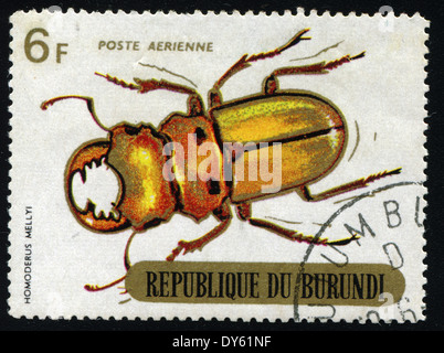 Repubblica del Burundi - circa 1970:stampato nella Repubblica di Burundi mostra beetle (HOMODERUS MELLYI), circa 1970. Foto Stock