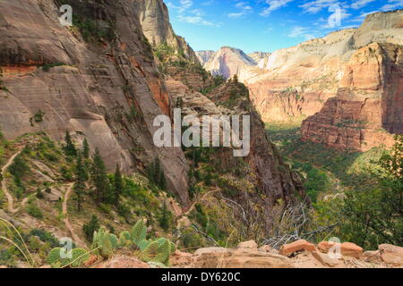 Vista in Zion Canyon dal sentiero per punto di osservazione, il Parco Nazionale di Zion, Utah, Stati Uniti d'America, America del Nord Foto Stock