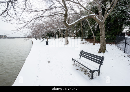 Con Washington DC vivendo il freddo in gennaio in decenni, il famoso fiori di ciliegio sono ancora una lunga strada da picco bloom come di Febbraio 26, 2014. Ciascuna molla di circa 1.700 ciliegi intorno al bacino di marea fiorisce in un colorato ma breve display floreali che porta un gran numero di visitatori della regione. Le ultime informazioni su Washington DC e la fioritura dei ciliegi fioriscono di 2014 è disponibile qui. [Foto: DAVID COLEMAN / HAVECAMERAWILLTRAVEL.COM] Foto Stock