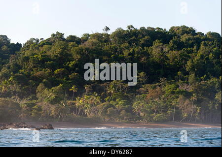 Parco Nazionale di Corcovado, Osa Peninsula, Costa Rica, America Centrale Foto Stock