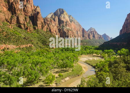 Fiume vergine, Parco Nazionale Zion, Utah, Stati Uniti d'America, America del Nord Foto Stock