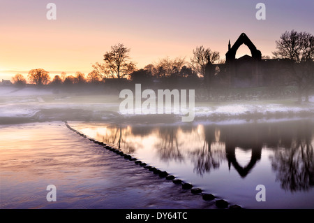 Bolton priory nella nebbia Foto Stock