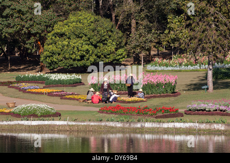 Le donne facendo del giardinaggio in il Kandawgyi nazionale botanico di Pyin U Lwin, Myanmar Foto Stock