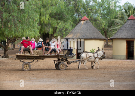 I turisti di marcia su un carro trainato da un mulo e un asino in Karoo regione Sud Africa Foto Stock