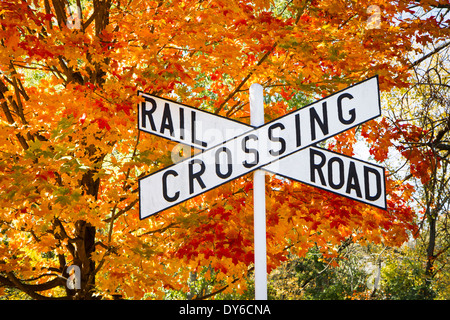 Un attraversamento ferroviario firmare con un colorato luminosamente autumn tree; Delaware e Raritan Canal State Park, New Jersey Foto Stock