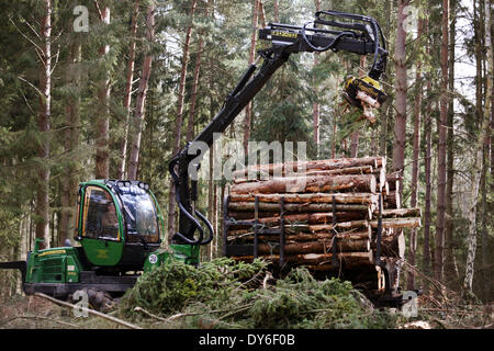 Torfbruecke, Germania. 08 apr 2014. Operai forestali rimuovere i danni al legno causate dall'uragano nel dicembre 2013 vicino Torfbruecke, Germania, 08 aprile 2014. La relazione della condizione delle foreste 2013 è presentato in Schwerin il 08 aprile 2014. Foto: Bernd Wuestneck/dpa/Alamy Live News Foto Stock