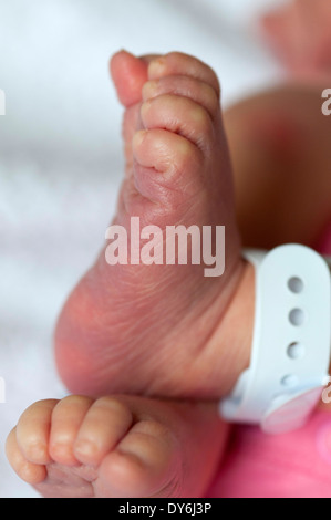 Close up di un neonato i piedi Foto Stock