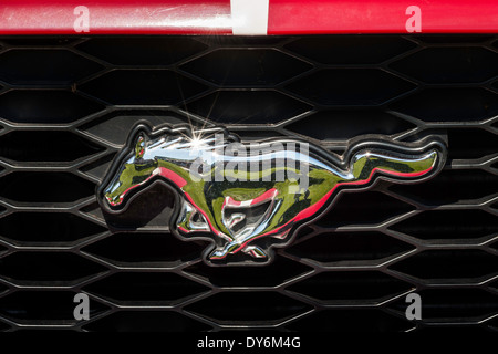 Ford Mustang Fastback dettaglio badge. Foto Stock