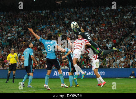 Il derby tra FC di Sydney e il Sydney occidentale Wanderers. Ci è la speculazione che del Pierro non ritornerà a Sydney FC yearFeaturing successivo: Sydney FC s portiere di riserva,Vedran Janjetovic dove: Sydney AustraliaWhen: 15 Dic 2012 Foto Stock