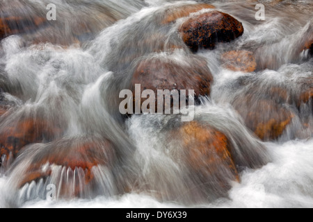 L'acqua che scorre su grossi massi in Alpine ruscello di montagna nelle Alpi Foto Stock