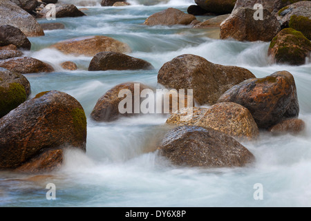 L'acqua che scorre su grossi massi in Alpine ruscello di montagna nelle Alpi Foto Stock