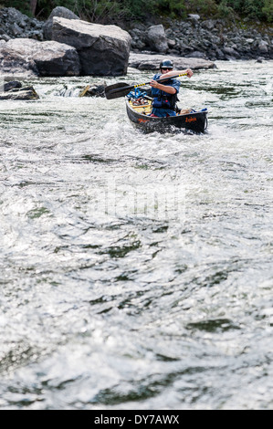 Canoa paddler, Bear Canyon Trap, Madison River, Ennis, Montana. Foto Stock