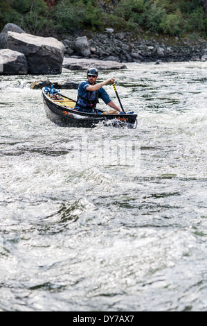 Canoa paddler, Bear Canyon Trap, Madison River, Ennis, Montana. Foto Stock