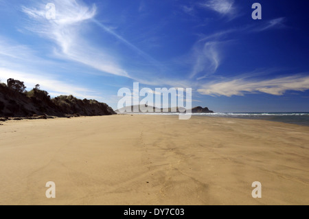 Surat Bay beach, Catlins Coast, Isola del Sud, Nuova Zelanda Foto Stock